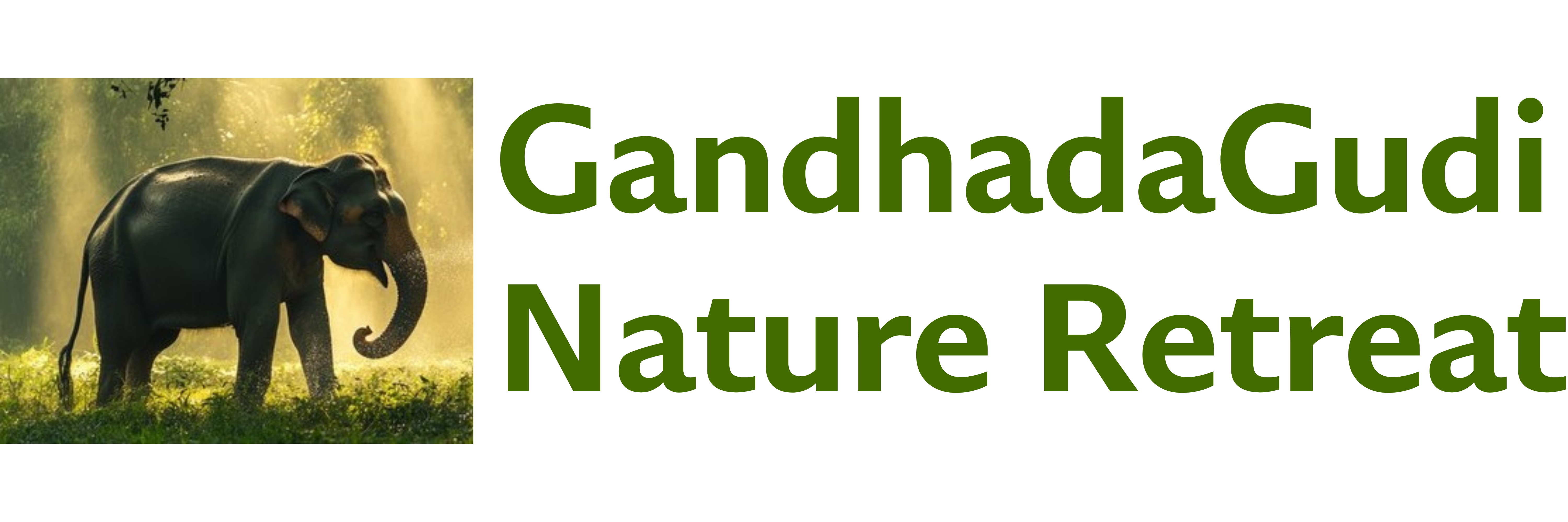 GandhadaGudi Nature Retreat
